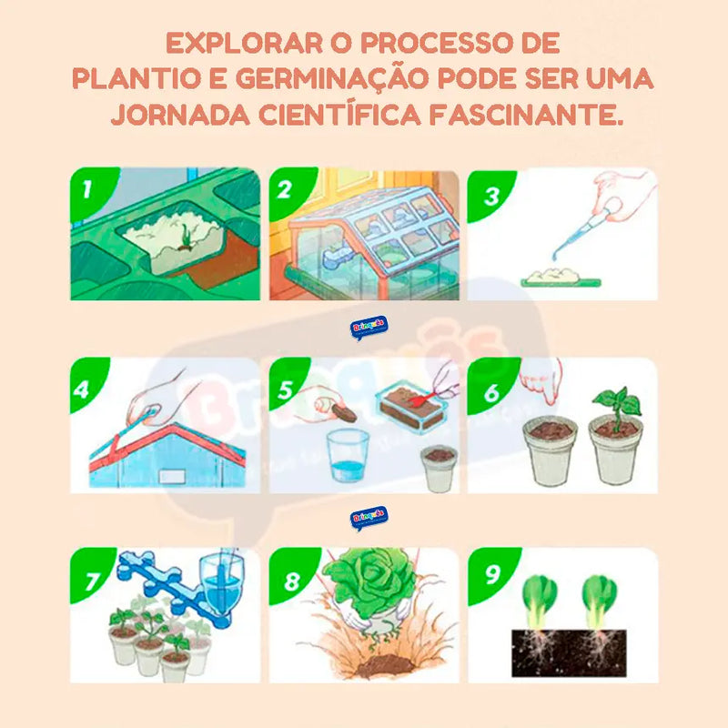 Mini Estufa Ecológica Infantil Brinquês - PoliStore