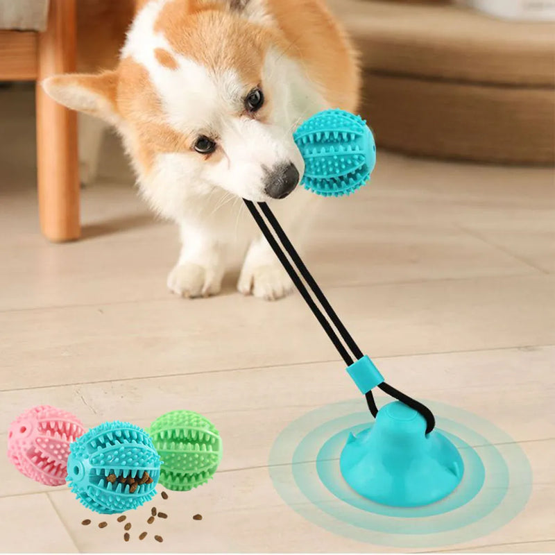 Bolinha Interativa para Cães - PoliStore