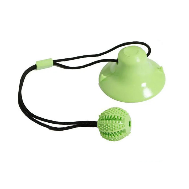 Bolinha Interativa para Cães - PoliStore