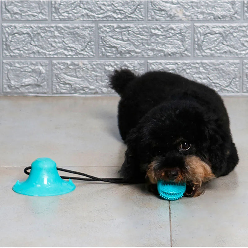 Bolinha Interativa para Cães - PoliStore